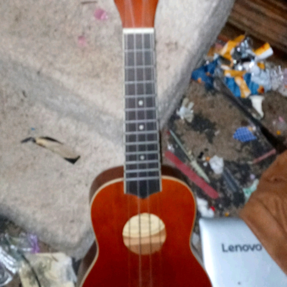 Violin